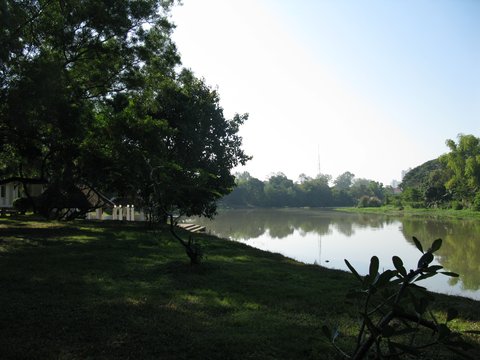 Copy of IMG_1558