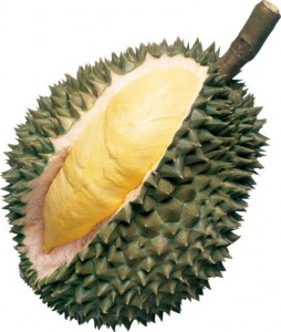 durian-254x3001 durian-254x3001