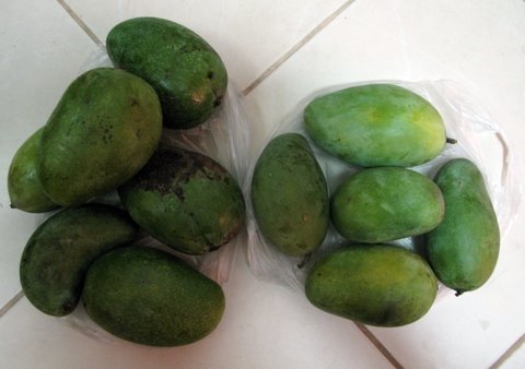 greenmango.JPG