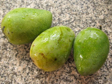 mango mango