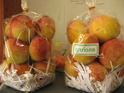 peach peach