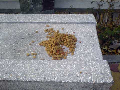 pratumnak_hill2.JPG
