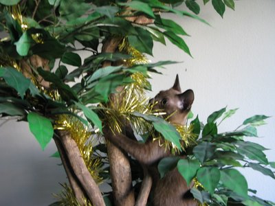 tree1.JPG