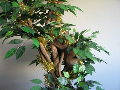 tree2.JPG
