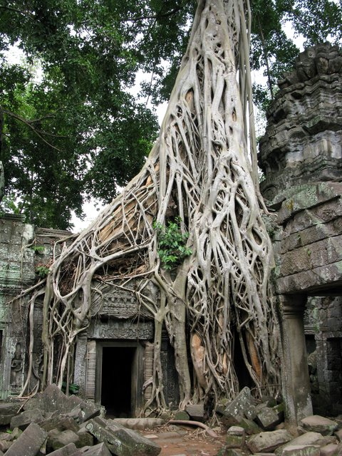 Ангкор: почувствовать все невозможно